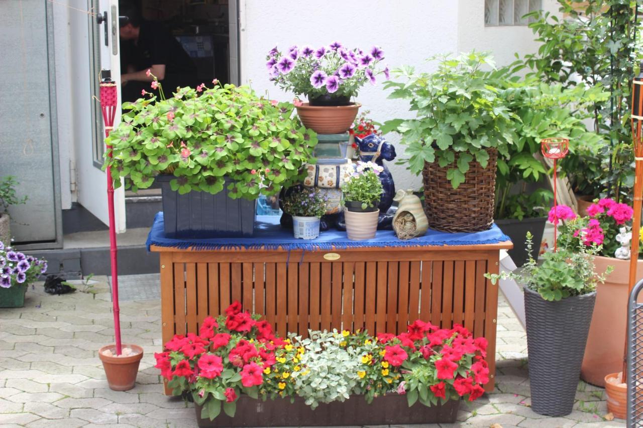 Restaurant / Pension Mainzer Tor Alsfeld Exterior photo